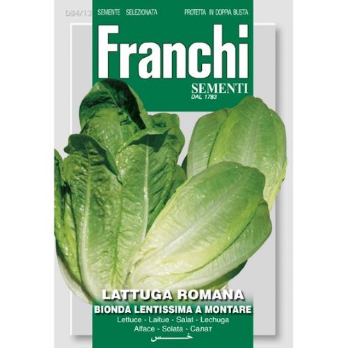 Lettuce Romana Bionda Seeds